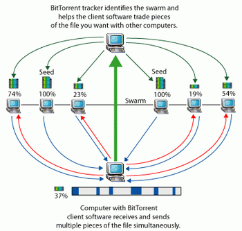 bittorrent