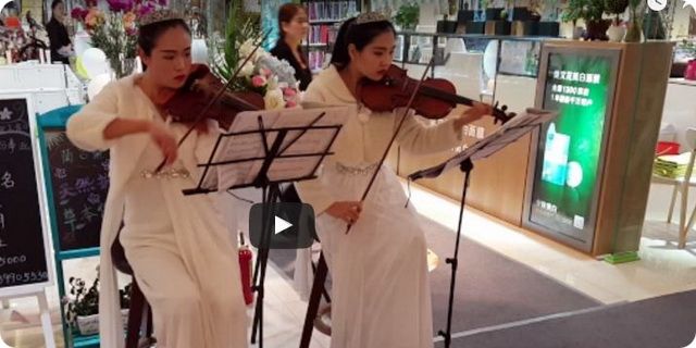 violina